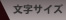 �����T�C�Y